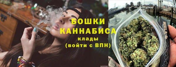 сатива Арсеньев