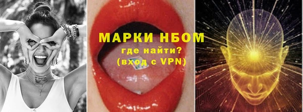 сатива Арсеньев